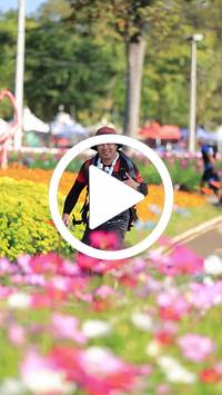 BIB:  <button type="button" onclick="openModal(27583824)" class="btn btn-primary btn-sm float-right" data-toggle="modal" data-target=".modal-high-quality">
                <i class="fa fa-download"></i> Download
                </button>